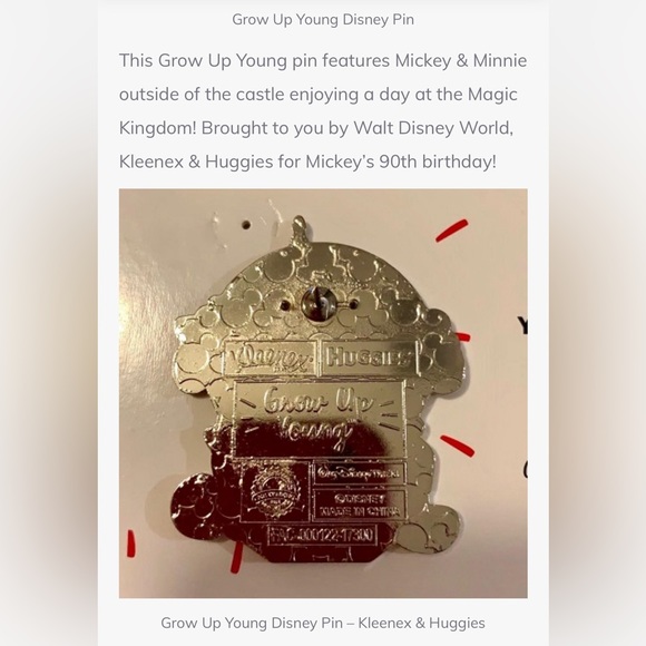 Disney Collector Pin complimentary give away Orlando Sanford on November 11 2018 - Picture 8 of 9